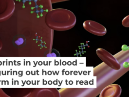 Figuring out which PFAS types are accumulating in your body is challenging. Love Employee/iStock via Getty Images Plus